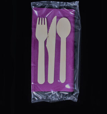Aubergine-Picnic-Packs-Airlaid-Napkins